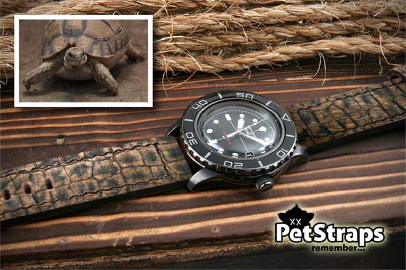 PetStraps：寵物伴侶的愛存在于……您的手腕上-復(fù)刻表