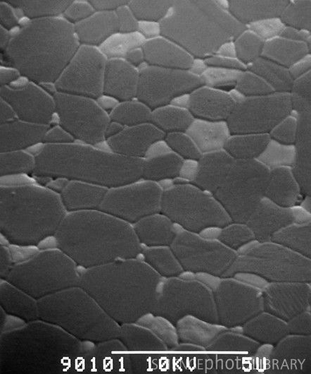 表殼材料說明：陶瓷-復刻表