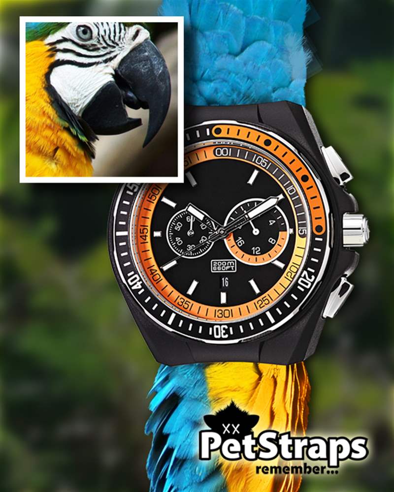 PetStraps：寵物伴侶的愛存在于……您的手腕上-復(fù)刻表